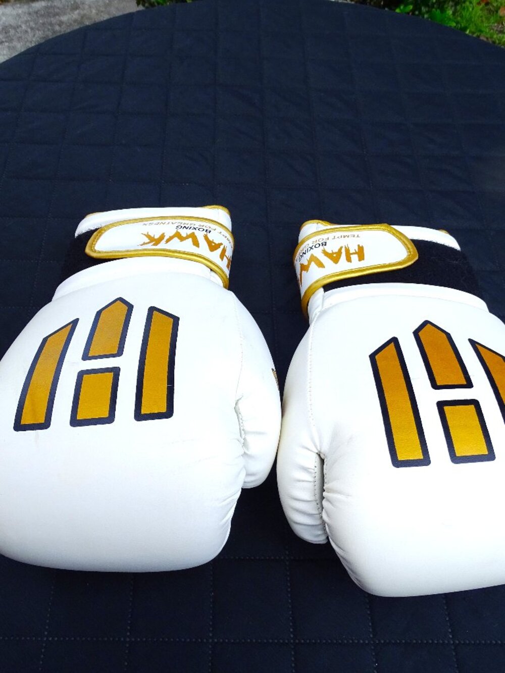 Hawk Boxing Gloves B-92 12oz
